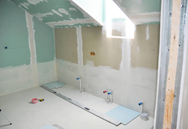 Best Mold Damage Restoration  in Romulus, MI