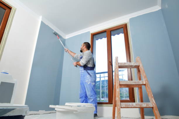 Best Biohazard Mold Removal  in Romulus, MI