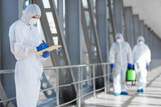 Best Real Estate Mold Inspection  in Romulus, MI
