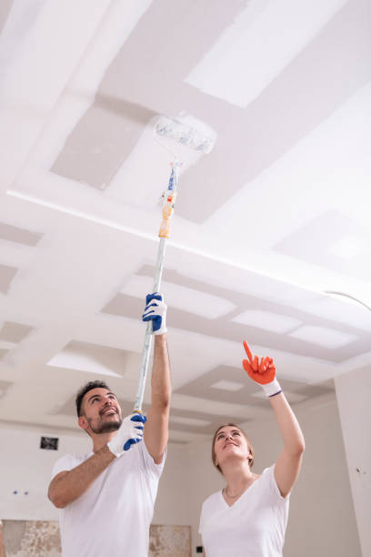 Best Black Mold Removal  in Romulus, MI