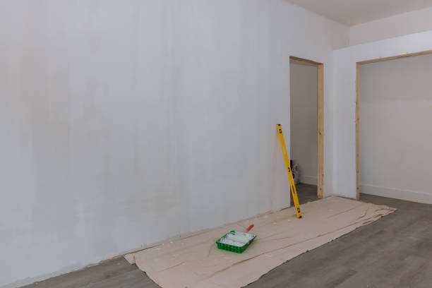 Best Commercial Mold Inspection  in Romulus, MI