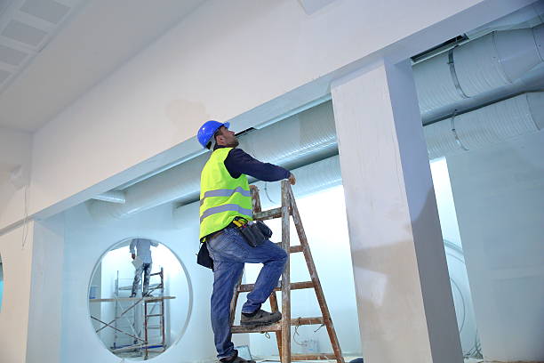 Best Mold Removal for HVAC Installations  in Romulus, MI